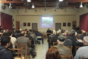 Proactive «Το κλάδεμα, το μυστικό για την παραγωγή ποιοτικότερου ελαιολάδου»