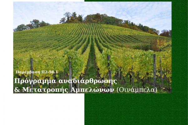 Proactive «Αναδιάρθρωση και μετατροπή Αμπελώνων στα πλαίσια του Στρατηγικού Σχεδίου Κοινής Αγροτικής Πολιτικής (ΣΣ ΚΑΠ) της περιόδου 2024-2027