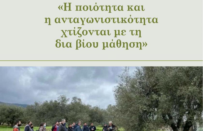 Proactive Η ποιότητα και η ανταγωνιστικότητα χτίζονται με τη δια βίου μάθηση