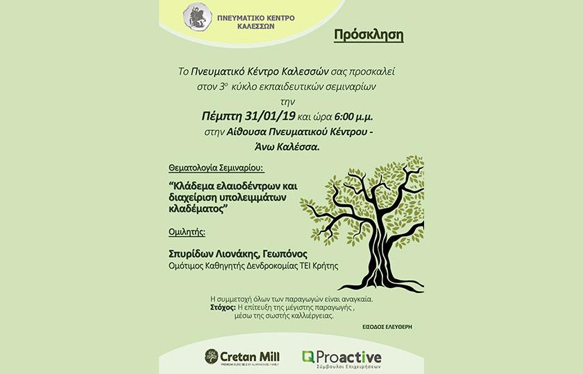 Proactive Οργάνωση 3ου κύκλου σεμιναρίων για την καλλιέργεια της ελιάς