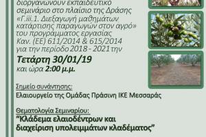 Proactive Δράσεις για τη βελτίωση της ποιότητας του ελαιολάδου