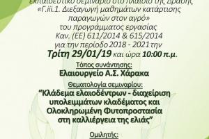 Proactive Δράσεις για τη βελτίωση της ποιότητας του ελαιολάδου