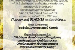 Proactive Δράσεις για τη βελτίωση της ποιότητας του ελαιολάδου