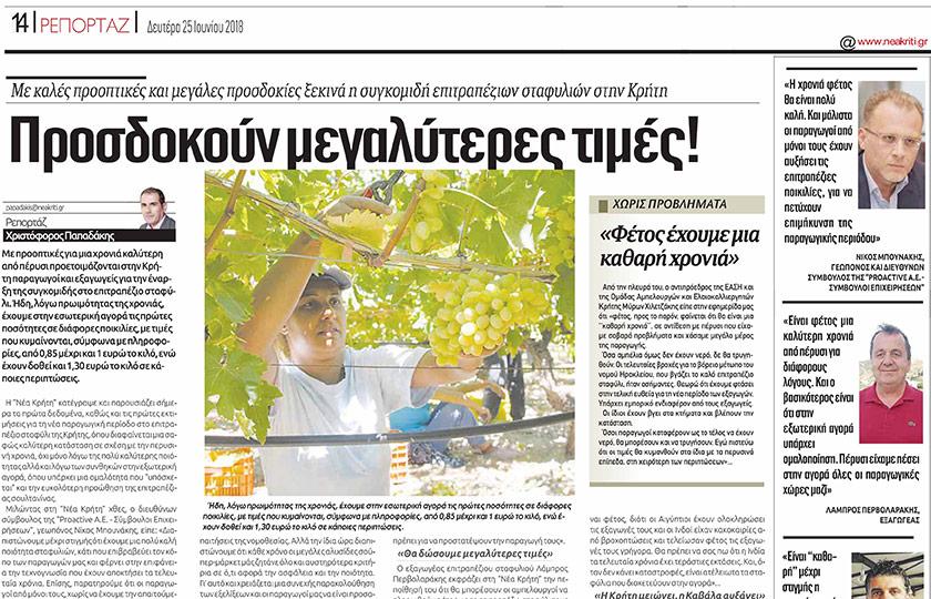 Proactive Με καλές προοπτικές και μεγάλες προσδοκίες ξεκινά η συγκομιδή επιτραπέζιων σταφυλιών στην Κρήτη.