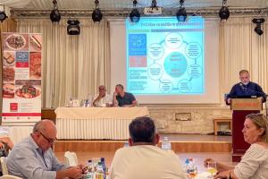 Proactive Κρητικό Δεκατιανό