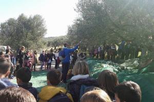 Proactive Ο Αγροτικός Συνεταιρισμός Ελαιοπαραγωγών Παναγιάς σε συνεργασία με την Proactive ΑΕ-Σύμβουλοι Επιχειρήσεων, ενημερώνουν για την ολοκληρωμένη διαδικασία παραγωγής του ελαιολάδου.