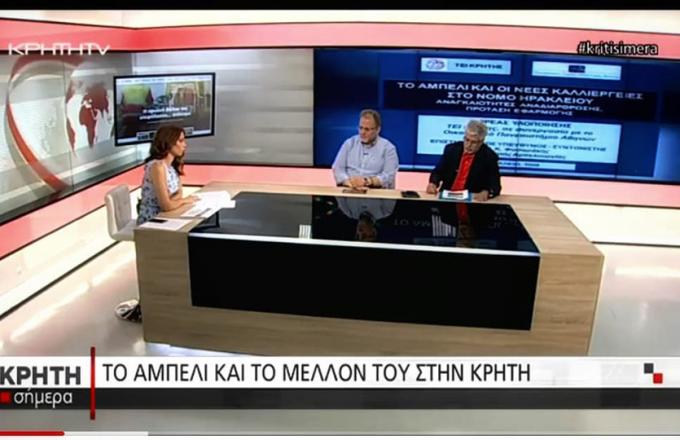 Proactive «Το αμπέλι και το μέλλον του στην Κρήτη»