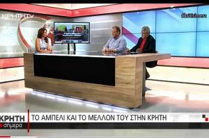 Proactive «Το αμπέλι και το μέλλον του στην Κρήτη»