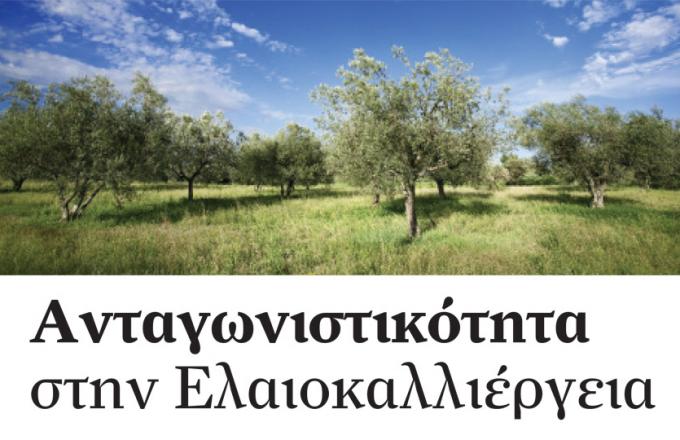 Proactive Άρθρο: Ανταγωνιστικότητα στην Ελαιοκαλλιέργεια