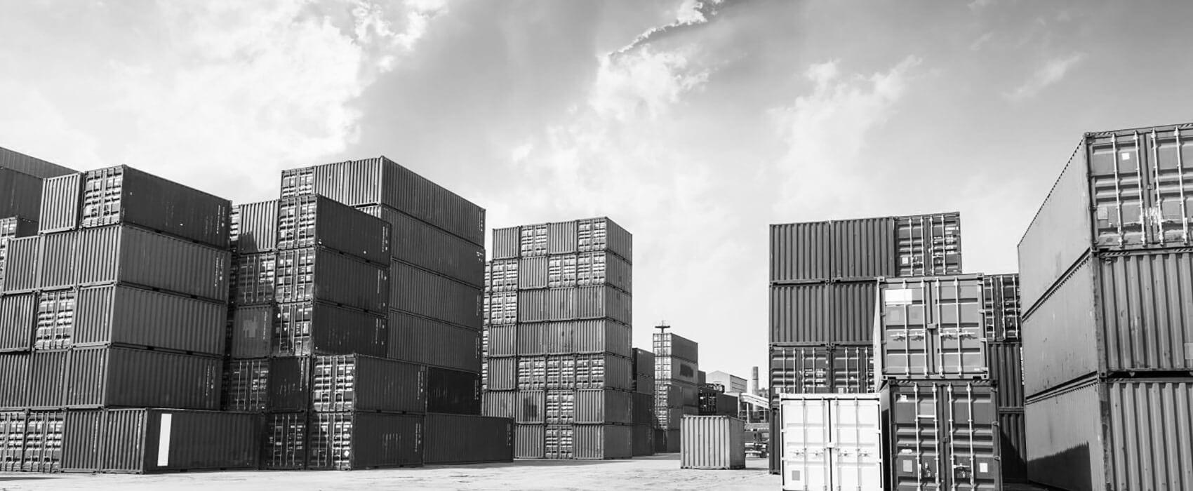 Proactive Export Development