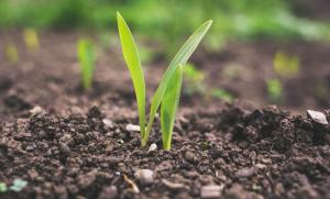 Proactive Total quality Management